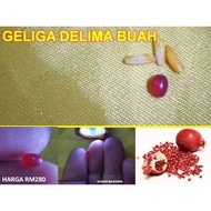 GELIGA DELIMA BUAH PERMATA BATU STONE FOR RING CINCIN HIGH QUALITY GERM STONE