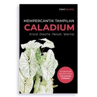 Mempercantik Tampilan Caladium - Fahri Orchid - AgroMedia