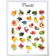 AMBREPH: LAMINATED FRUIT CHART l A4 A3 SIZE PHOTO GLOSSY PAPER