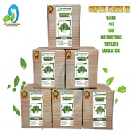 PECHAY GROWING KIT - READY TO USE/COMPLETE PACKAGE/POT/SOIL/SEEDS/FERTILIZER/MANUAL/LABEL STICK