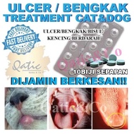 Ubat Ulcer / Bengkak / Bisul / Kencing Berdarah Kucing & Anjing