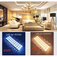 3-eye AC 220V LED module lamp/220V AC LED lamp