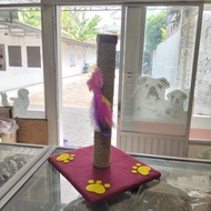 Condo Scratching Cat Toy