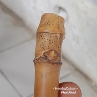 Natural Bambu Petuk Asli Alam