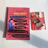 Health Poster BONUS Leaflet ANEMIA: ANemia Poster for Pregnant Women - Why Are Pregnant Women and An