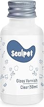 1DFAUL 50ml Air Dry Clay Varnish Glaze Sealant, High Luster Finish, Scratch Resistant, Waterproof, P