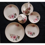 J & G Meakin, England Antique DINNER SET