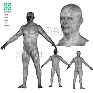 Male Human 3D Model, Rhino 3DMAX/C4D/OBJ Material