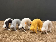 拱橋式貓咪x5