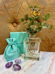 【NA She.歐美精品進口服飾名品】Tiffany & Co. Tiffany 1837™系列經典刻字墜飾互鎖釦環雙圈雙環圓形造型吊墜925純銀細鏈小號鎖環圓圈 鏈墜 項鍊 頸鍊 莫比烏斯環 凹造型