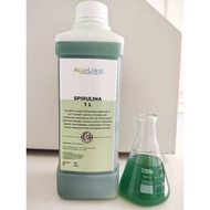 Algae Living Fresh Spirulina Culture
