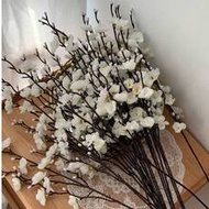 10pcs/5pcs/3pcs/2pcs/1pc (White, Yellow) 54cm/21.26inch Artificial Plum Blossom Flowers, Fake Winter