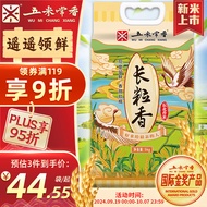 五米常香 当季新米 长粒香大米 东北大米 粳米 香米 十斤 5kg