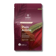 CACAO BARRY PLEIN AROME 1KG