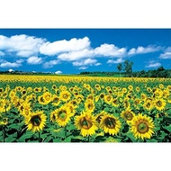 【Direct from Japan】 1000 Piece Jig Saw Puzzle Soleil Hokkaido 50x75cm