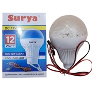 12watt Solar DC/bateray bulb