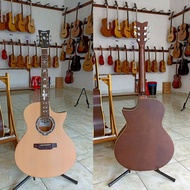 Schecter Acoustic Electric Guitar EQ 7545R Mattenatural