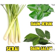 Fresh Citrus Leaves/Lemongrass/Bay Leaves/Fragrant Pandan Leaves