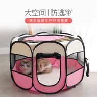 Cat Litter Cat Delivery Room Cat Delivery Room Production Room Production Box Closed Pregnant Cat Do