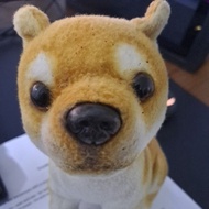 doge coin doge ( not real )