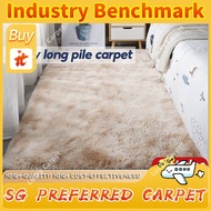 Fluffy Rugs Anti-Skid Shaggy Area Rug Rainbow Carpet Home Decor carpet  Large Fluffy carpet Floor Ma