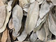 ใบทุเรียนเทศ แห้ง 50 กรัม (Dried Soursop Graviola Leaves)