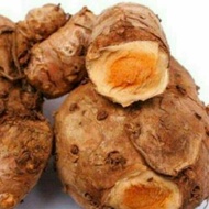 TEMULAWAK ALREADY WASHED 1KG FRESH DIPAN EVERY DAY FREE CARDBOARD
