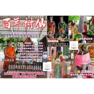 29 Sep 2024 🌳 Wealth 发财 & Love 爱情 Wish Tree Spirit 仙女树灵 Temple Monk 主持 + Famous Spirit Medium Ajan P