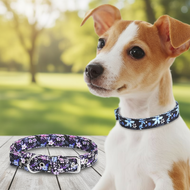 CP603 Bow Tie Dog Collar - ,,。