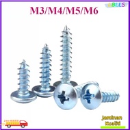 M3/M4/M5/M6 Truss Head Self Tapping Screw Skru  Wood Self Tapping Screw Blue zinc  【LBLLS1】