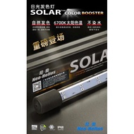 🇲🇾AquaNice Neo-Helios Solar Tropi Color Booster LED Submersible T8 Tanning Light Lamp Colour-Up Aqua