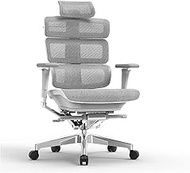 Ergonomic Office Chair Luxury Boss Chair, Upgrade Breathable Mesh Executive Chairs with 3D Armrests and Lumbar Support, Sedentary Comfort Computer Desk Chair */1613 (Color : Grey, Size : No)