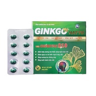 GINKGO NATTO BRAIN SUPPLEMENT PILLS 120MG WITH COENZYME Q10 10MG PV Box of 100 tablets - Chau Ngan P