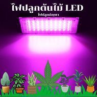 LED Grow Light ไฟปลุกต้นไม้LED ไฟช่วยต้นไม้โตเร็ว 50Wแสงม่วง (ใช้ไฟบ้าน 220V)