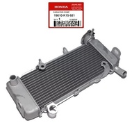 CBR 150 LED Double LED Radiator (19010-K15-921)