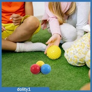 [Dolity1] Wood Bocce Balls Set Childrens Outdoor Games Ball Toys for Kids Backyard