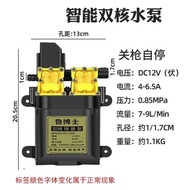 Electric Sprayer Water Pump Smart Pump High Power Water Pump 12V Water Pump High Pressure Water Pump