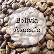 [Convex Nose] Premium Bolivia ASO CAFE (Half Pound) 225g Bolivia Coffee Beans
