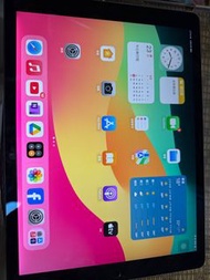外觀95% 新  Ipad Pro 12.9 （第二代）256GB 灰色