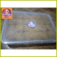 ┘ ⚕ ❊ Graham Balls Original Honey Grahams 24 pcs