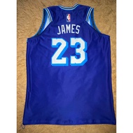 Lebron Lakers 20 Jersey Basketball