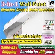 [24 hours delivery] cat dinding luar rumah 1000ml formaldehyde wall paint cat dinding rumah cat dind