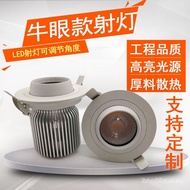 Source Supply LED Spotlight30W Universal Adjustment360Embedded Clothing Showroom Tile Shop Spotlight