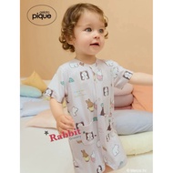 Little Rabbit Grocery Shop Japan Gelato pique Baby Series Miffy Co-Branded Full Version Character Pr