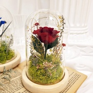 小王子夜燈 紅色永生花鐘 玻璃鐘罩 永生花 乾燥花 永生花夜燈