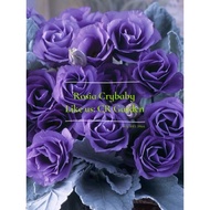 紫变洋桔梗 1粒 change purple Eustoma 1 seed