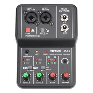 Universal Professional Audio Interface Sound Card Computer Electric Guitar Studio Singing Q12 Equipment TEYUN