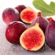 Malaysia Ready Stock 100pcs Fig Seeds Ficus Carica Seeds Garden Bonsai Rare Fruit Seed Flower Plant Fig Tropical Seeds Home Planting,Suitable for Malaysian Cultivation Anak Pokok Benih Pokok Bunga