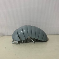 大王具足蟲 扭蛋