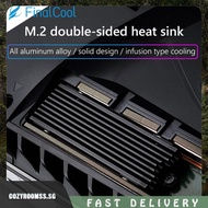 [cozyroomss.sg] M.2 2280 SSD Cooler Radiator NVME Heat Cooler Radiator for PS5 Game Console